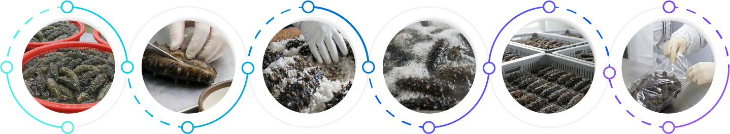 Manufacturing process timeline