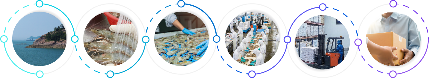 Manufacturing process timeline